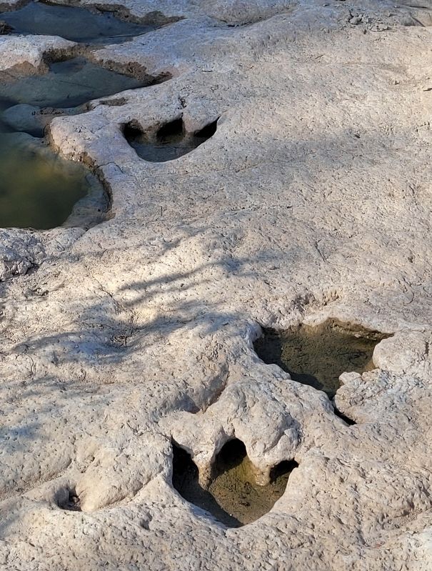 Dinosaur tracks at the main viewing area image. Click for full size.