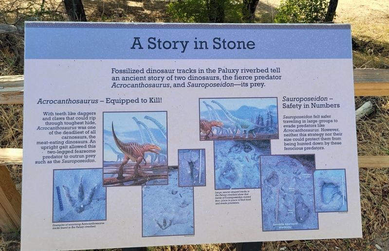 A Story in Stone Marker image. Click for full size.