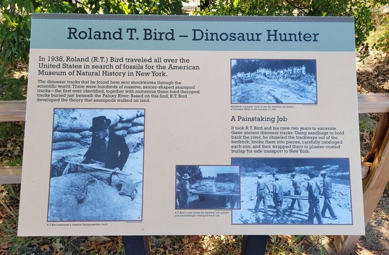 Roland T. Bird - Dinosaur Hunter Marker image. Click for full size.
