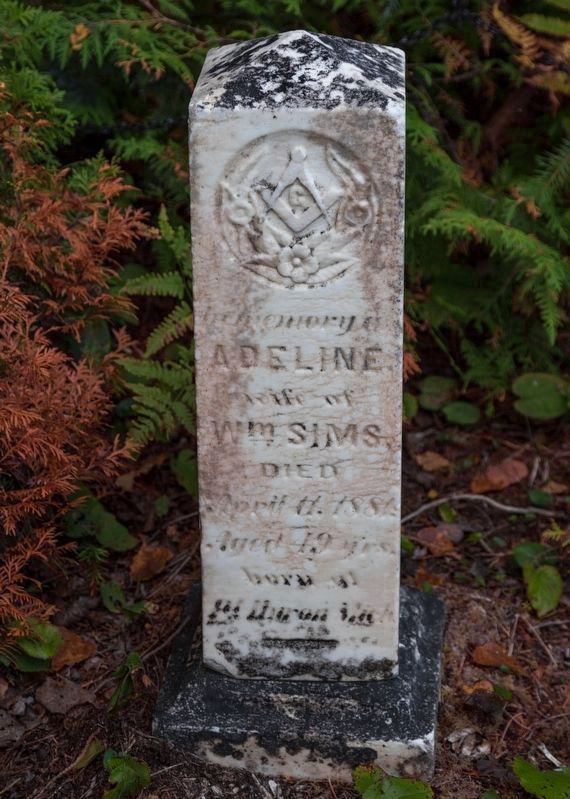 Gravestone of Adeline Sims (18321881) image. Click for full size.