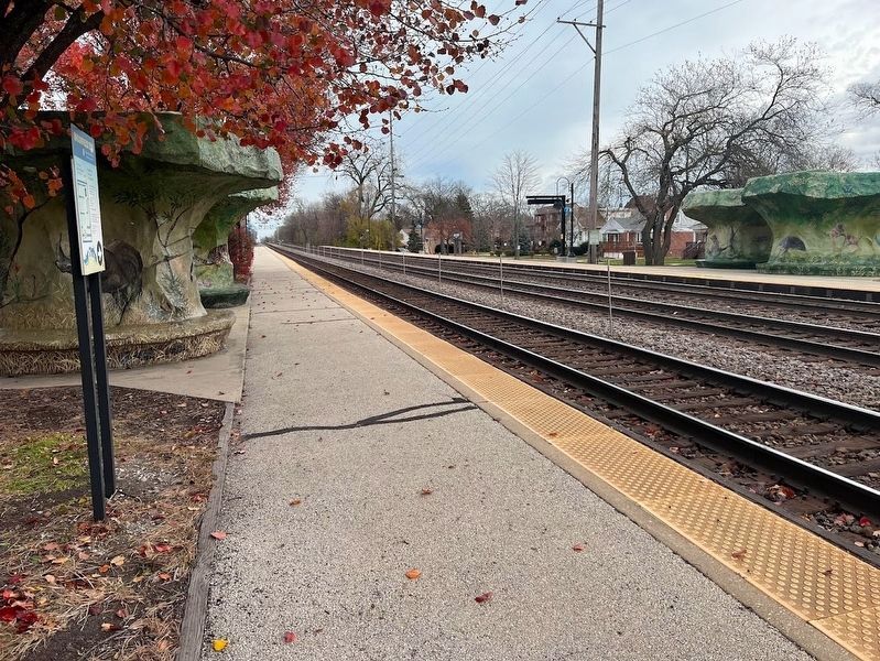 The Metra train "Zoo Stop" image. Click for full size.