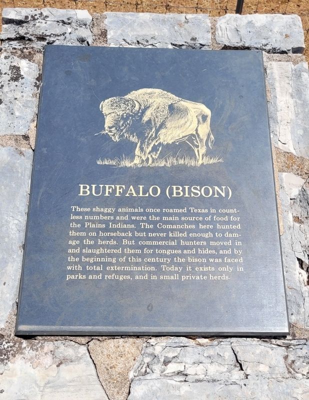 Buffalo (Bison) Marker image. Click for full size.