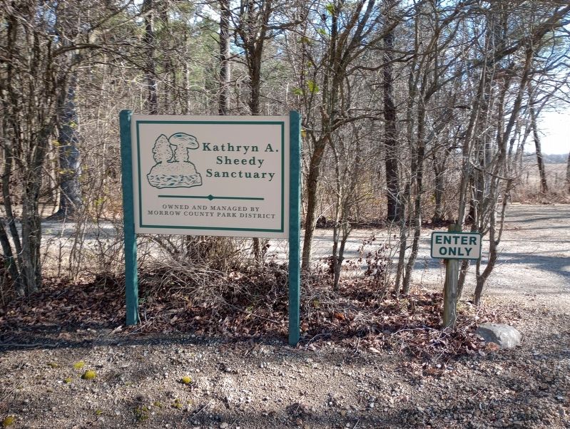 Kathryn A. Sheedy Sanctuary Marker image. Click for full size.