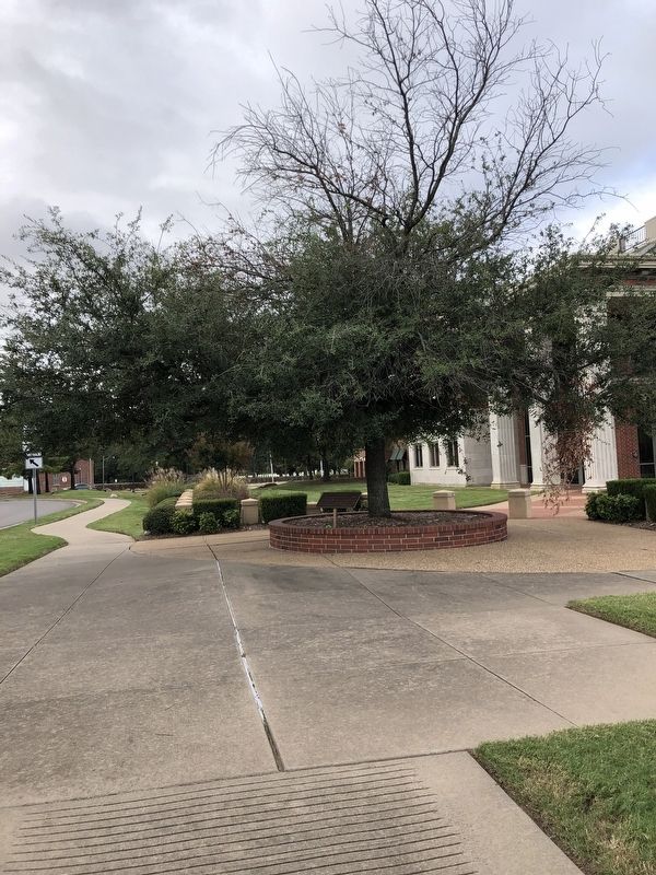 Former Site of The Fort Smith Biscuit Company Est. 1903 Marker. Click for full size. Former Site of The Fort Smith Biscuit Company Est. 1903 Marker image. Click for full size.