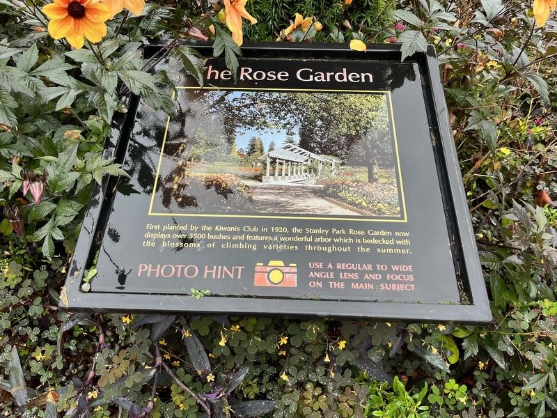 The Rose Garden Marker image. Click for full size.