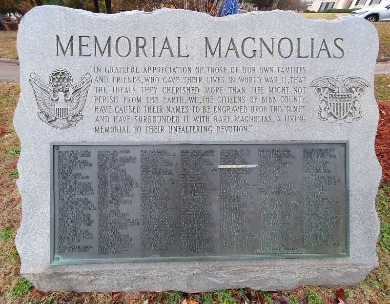 World War II Memorial Magnolias. Click for full size. World War II Memorial Magnolias image. Click for full size.