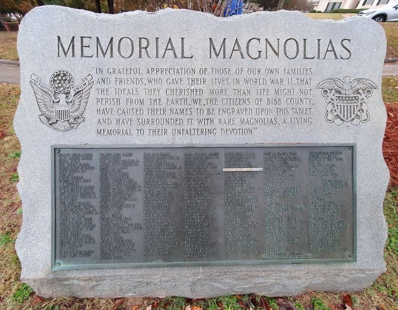World War II Memorial Magnolias image. Click for full size.