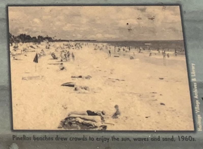 Pinellas beaches drew crowds to enjoy the sun, waves and sand. 1960s image. Click for full size.