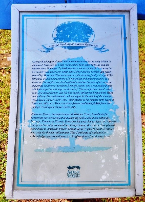 George Washington Carver Green Ash Historical Marker