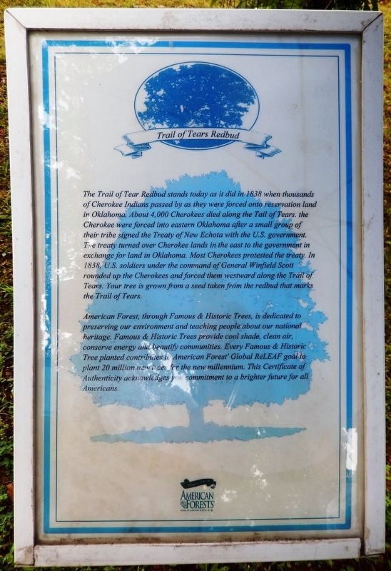 Trail of Tears Redbud Marker image. Click for full size.