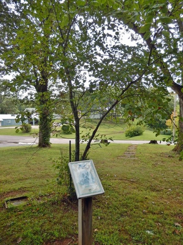 Trail of Tears Redbud Marker & Tree image. Click for full size.