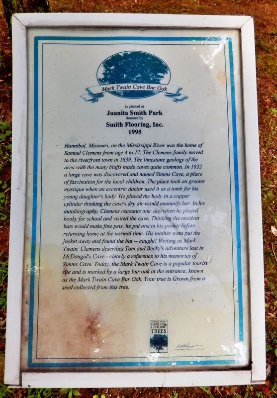 Mark Twain Cave Bur Oak Marker image. Click for full size.