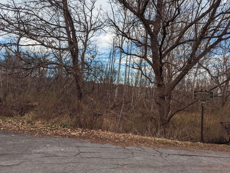 Coreorgonel Marker along Route 13 image. Click for full size.