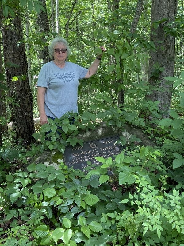 Memorial Forest Marker behind east end of guard rail image. Click for full size.