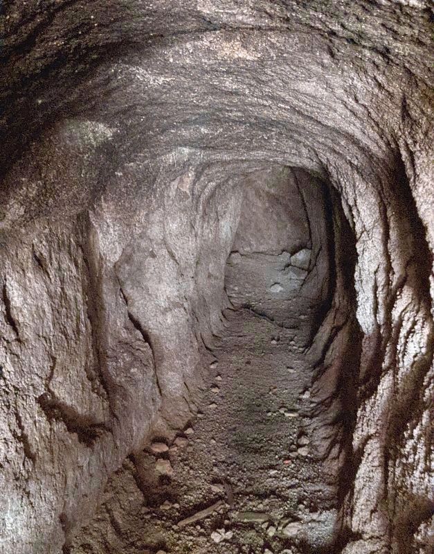 Tunnel, viewed through a locked gate. Click for full size. Tunnel, viewed through a locked gate image. Click for full size.