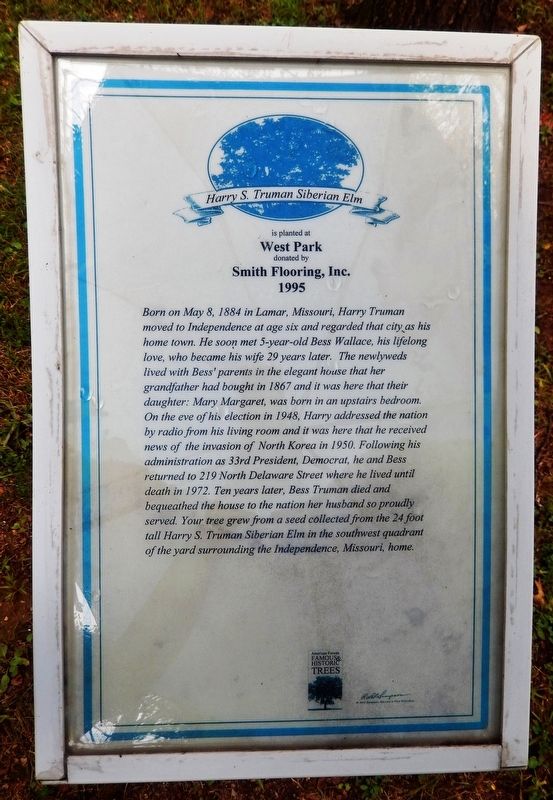 Harry S. Truman Siberian Elm Marker image. Click for full size.