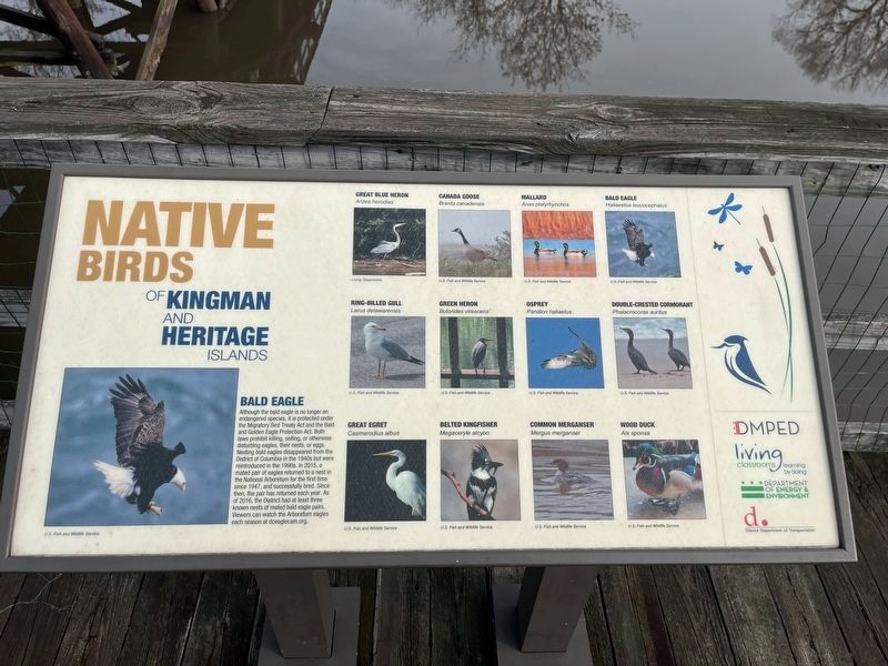 Native Birds of Kingman and Heritage Islands Marker image. Click for full size.