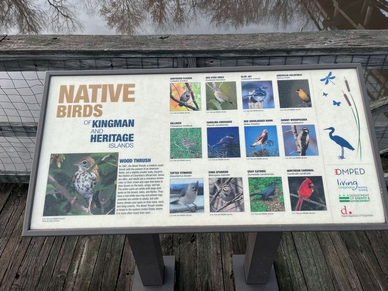 Native Birds of Kingman and Heritage Islands Marker image. Click for full size.