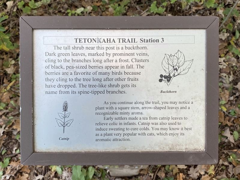 Station 3 Marker. Click for full size. Station 3 Marker image. Click for full size.