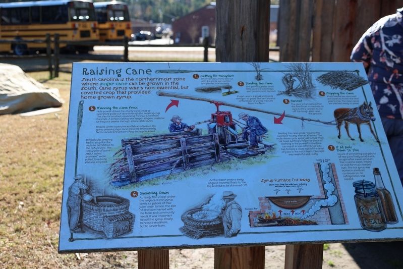 Raising Cane Marker. Click for full size. Raising Cane Marker image. Click for full size.