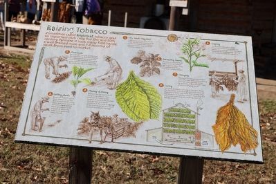 Raising Tobacco Marker. Click for full size. Raising Tobacco Marker image. Click for full size.