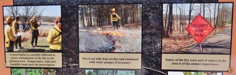 Marker detail: Prescribed Burns image. Click for full size.