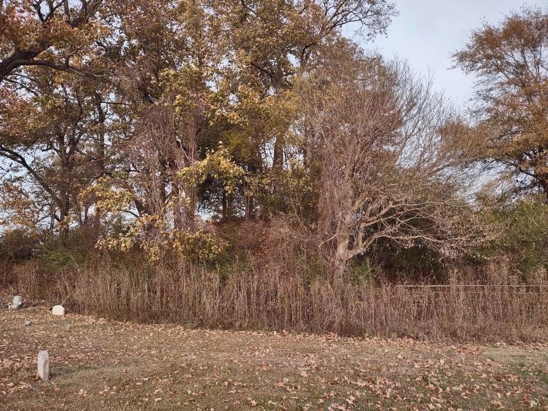 Mound A at the Edgefield Mounds site, the only one of the mounds that can be easily viewed. image. Click for full size.