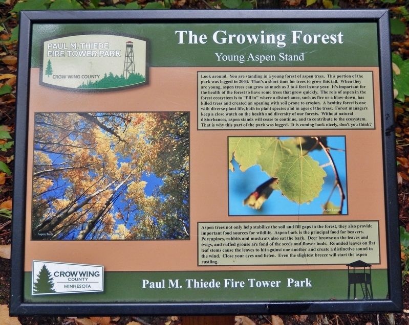 The Growing Forest Marker image. Click for full size.