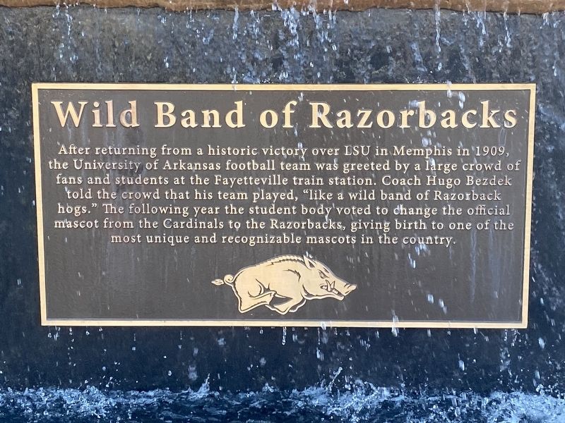 Wild Band of Razorbacks Marker image. Click for full size.