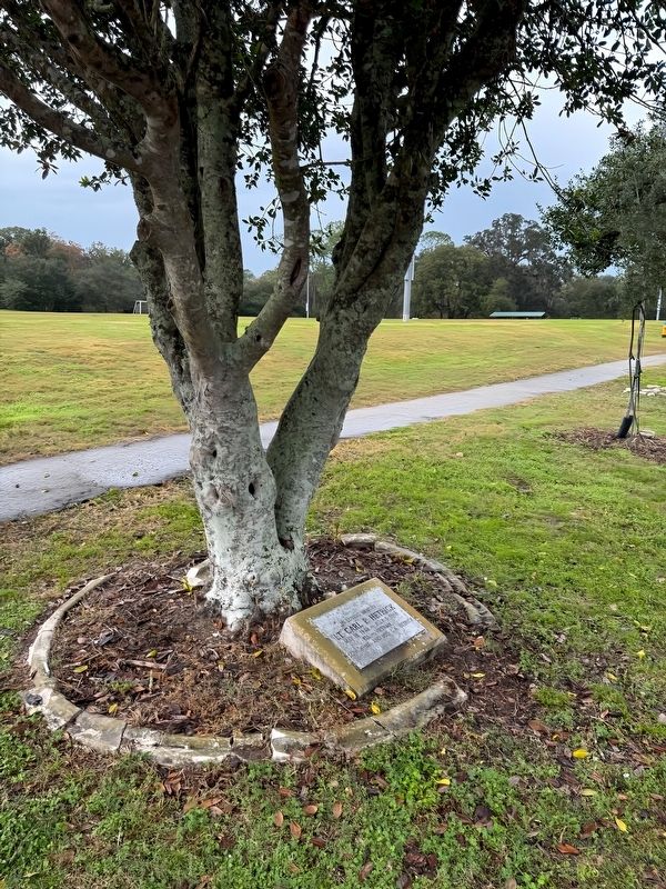 LT. Carl P. Hetrick Marker image. Click for full size.