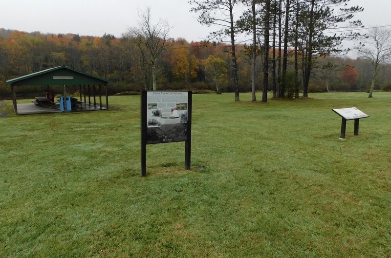 From Forest To Sawmill Marker. Click for full size. From Forest To Sawmill Marker image. Click for full size.