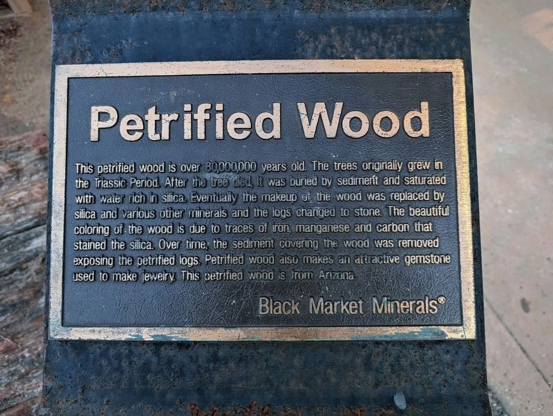 Petrified Wood Marker. Click for full size. Petrified Wood Marker image. Click for full size.