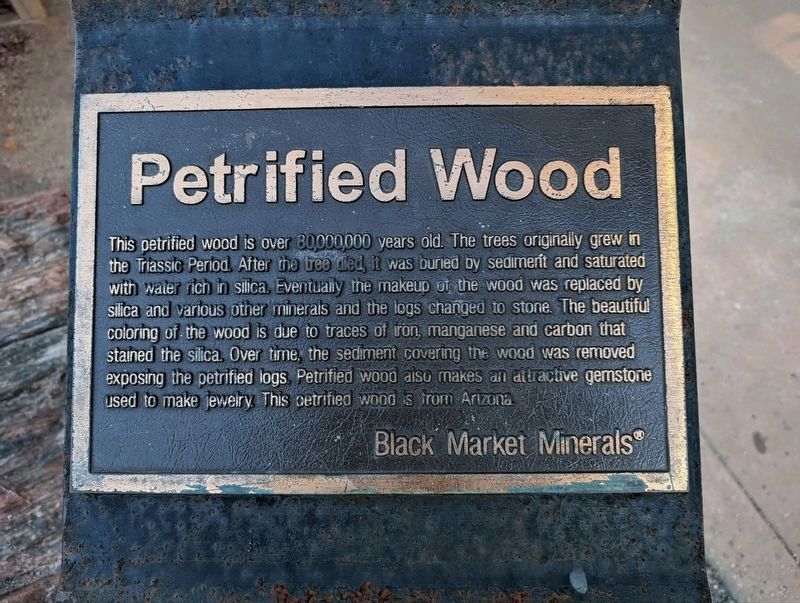 Petrified Wood Marker image. Click for full size.