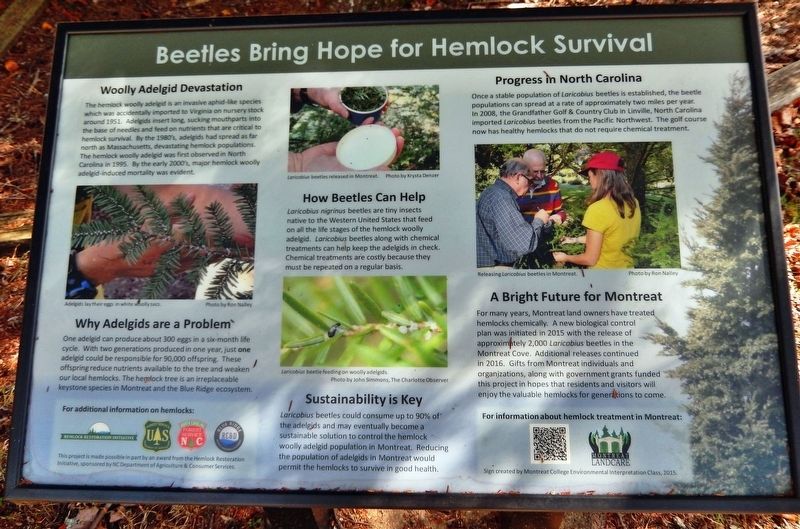 Beetles Bring Hope for Hemlock Survival Marker image. Click for full size.