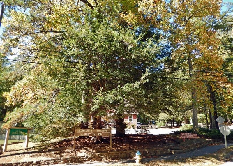 Beetles Bring Hope for Hemlock Survival Marker. Click for full size. Beetles Bring Hope for Hemlock Survival Marker image. Click for full size.