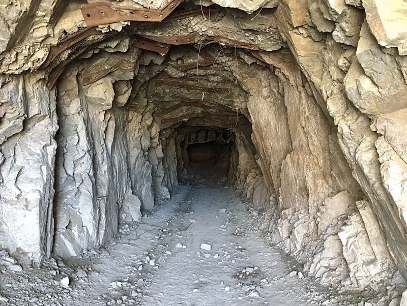 Warm Springs Talc Mine image. Click for full size.