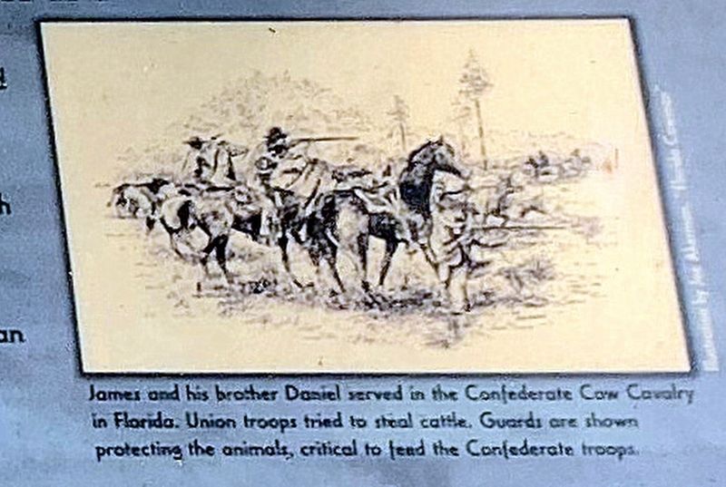 Confederate Cow Cavalry image. Click for full size.