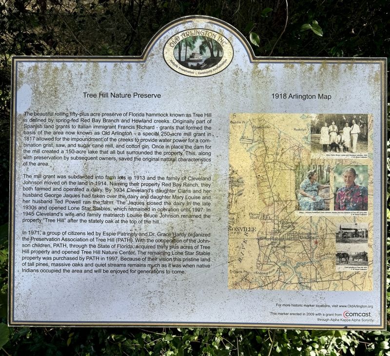Tree Hill Nature Preserve Marker image. Click for full size.