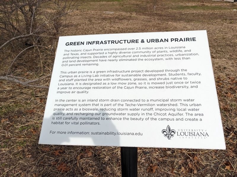 Green Infrastructure & Urban Prairie Marker image. Click for full size.