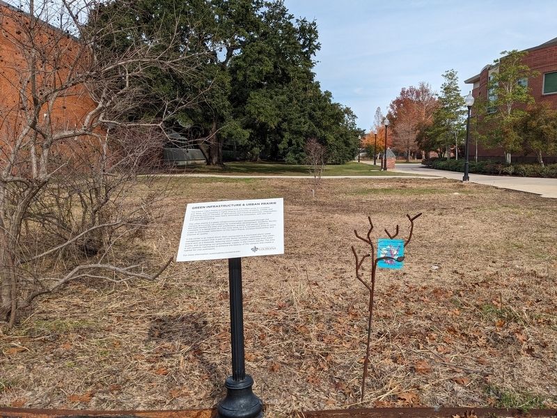 Green Infrastructure & Urban Prairie Marker image. Click for full size.