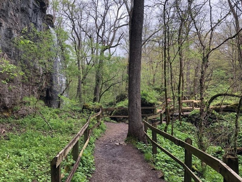 Clifton Gorge State Nature Preserve image. Click for more information.