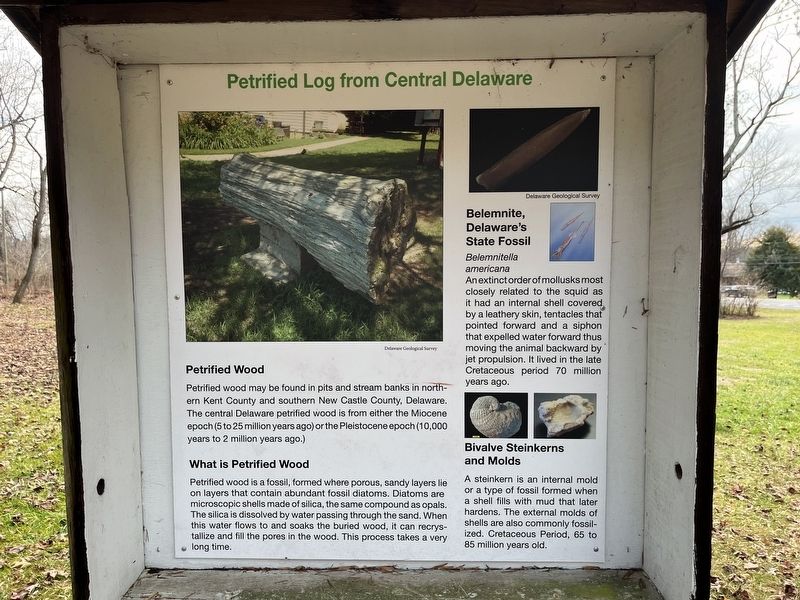 Petrified Log from Central Delaware side of the marker image. Click for full size.