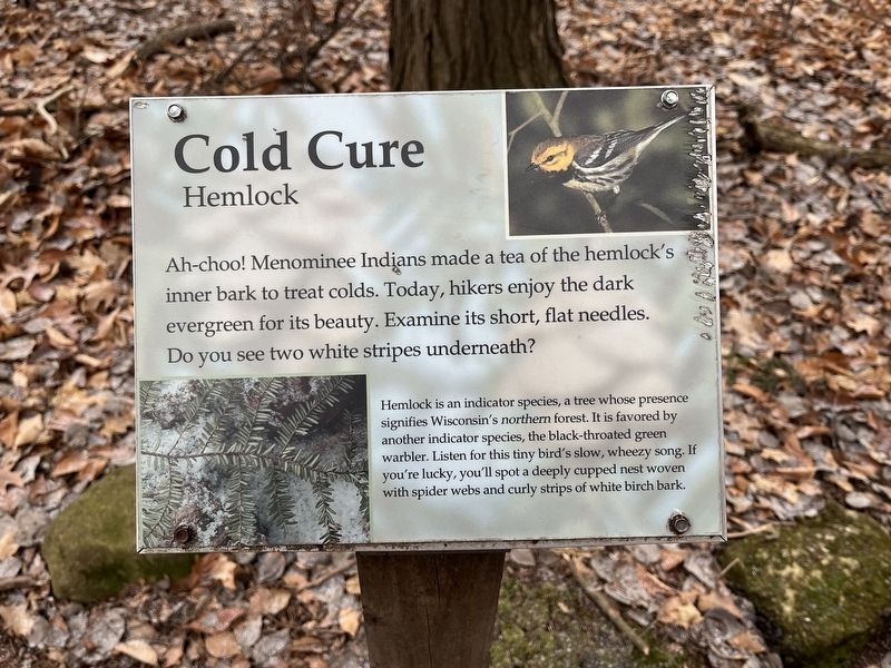 Cold Cure Marker image. Click for full size.