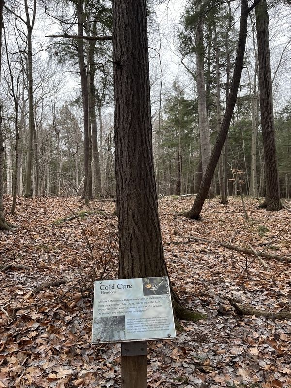 Cold Cure Marker image. Click for full size.