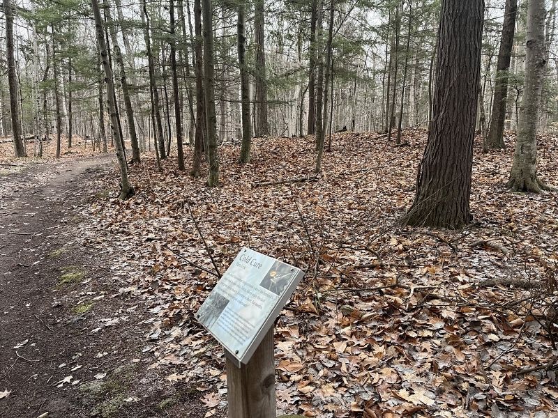 Cold Cure Marker along the Sentinel Trail image. Click for full size.