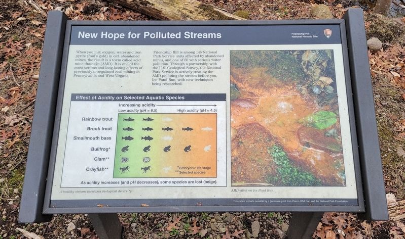 New Hope for Polluted Streams Marker image. Click for full size.