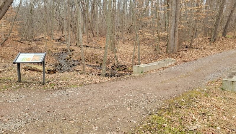 New Hope for Polluted Streams Marker image. Click for full size.