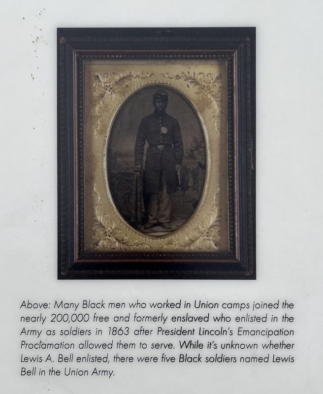 Black Soldier image. Click for full size.