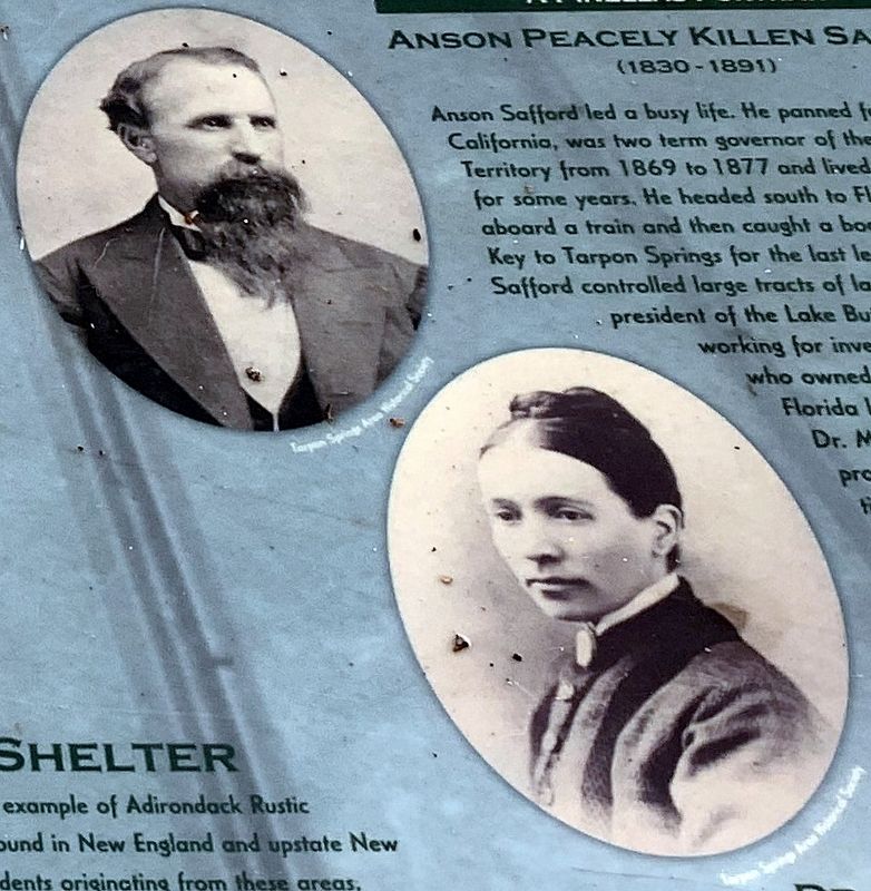Anson Peacely Killen Safford and Dr. Mary Jane Safford image. Click for full size.