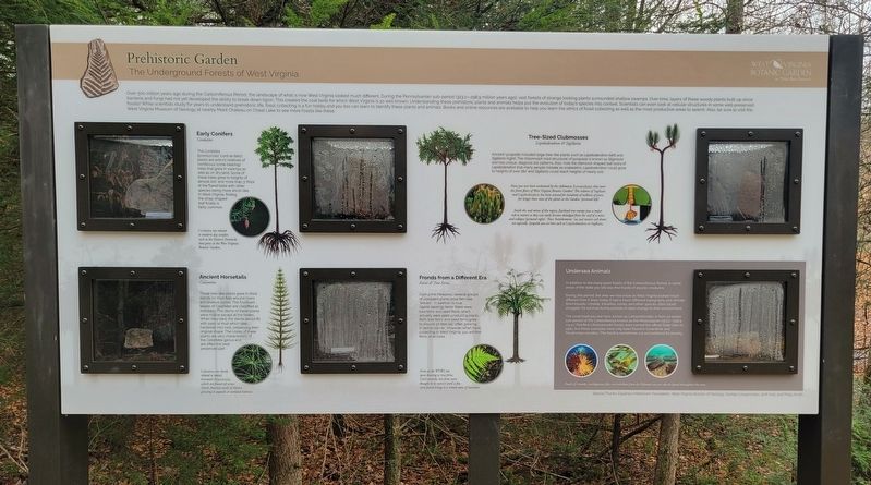 Prehistoric Garden Marker image. Click for full size.